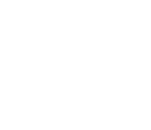 A green and white logo for southeast grinding and grooving.